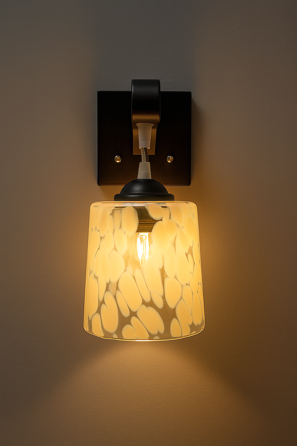 Designer Frosted Glass Wall Light