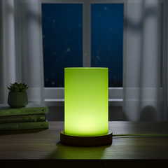 Modern Frosted Green Ambient Table Lamp With Wooden Base (Green)