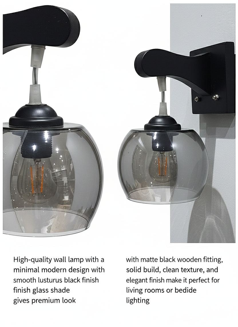 Smoked Glass Wall Light / Wall Sconce